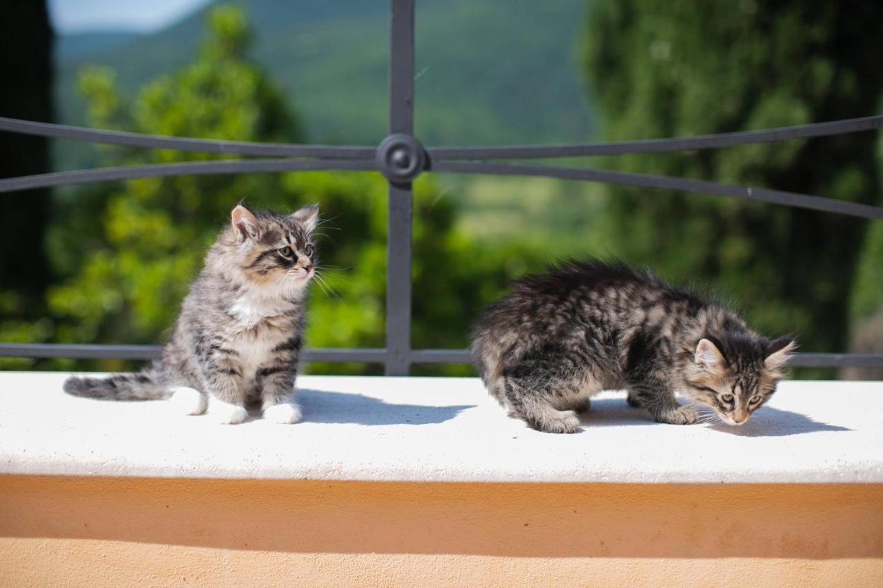 Borgo Incantato Spoleto Pompagnano Zewnętrze zdjęcie
