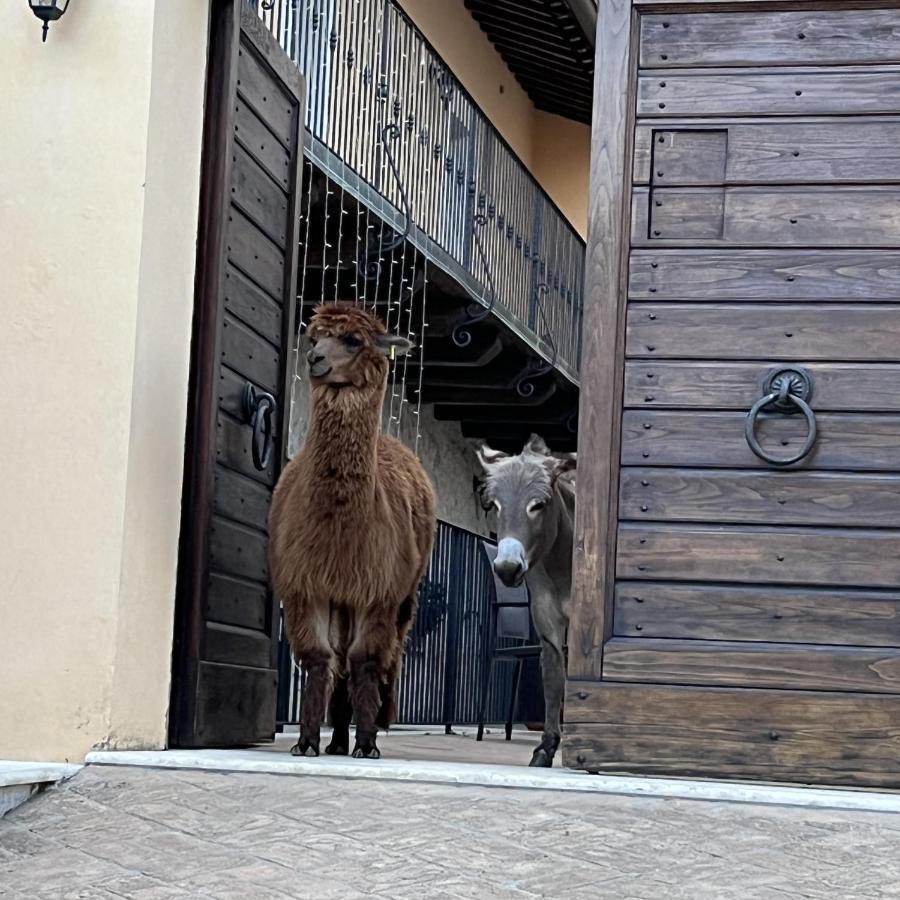 Borgo Incantato Spoleto Pompagnano Zewnętrze zdjęcie